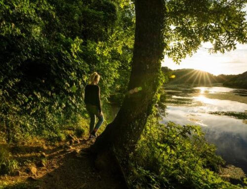 Stackpole Nature Reserve